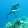 Coral assesment
